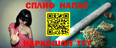 гашик Волгодонск
