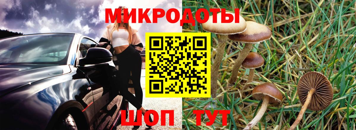 Псилоцибиновые грибы мухоморы Ногинск