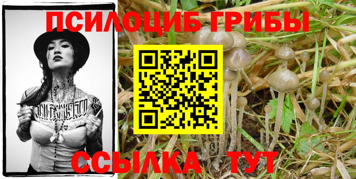 Псилоцибиновые грибы Magic Shrooms  Вход с VPN  Ногинск 